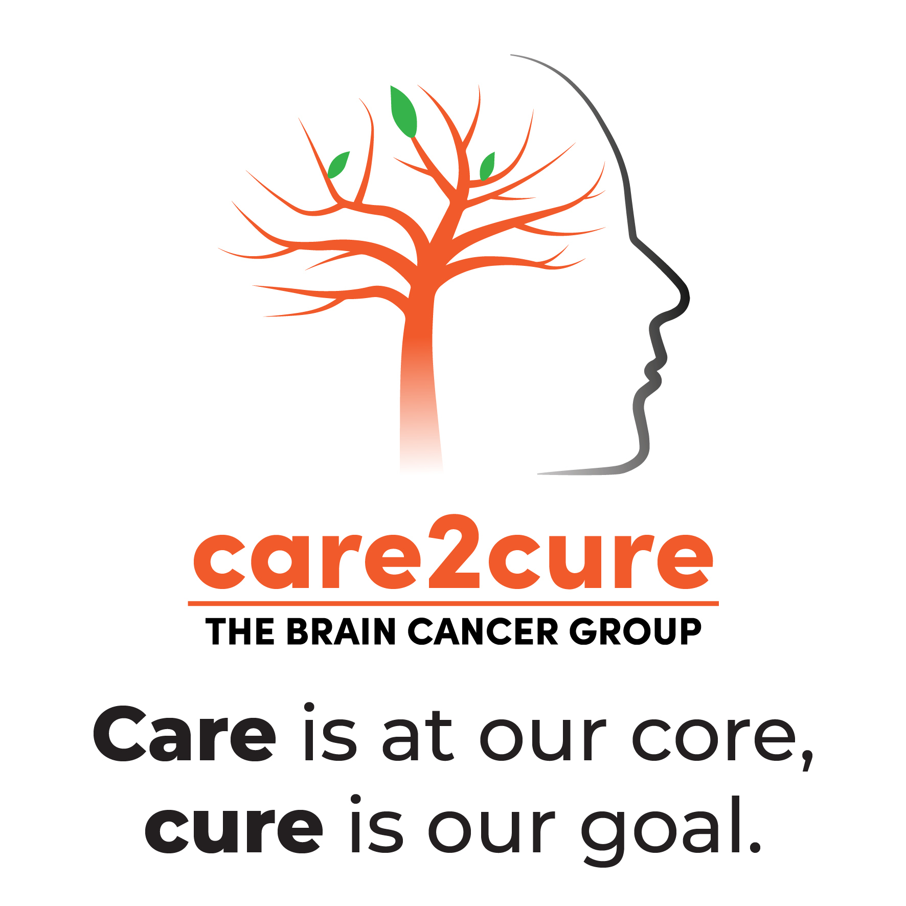 The Brain Cancer Group, Care2Cure